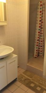 Location Appartement 1 pièce Meublé 26m² MONTPELLIER 34080 - Photo 3