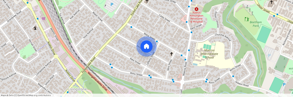 18 Hinau Street, Maeroa, Hamilton City