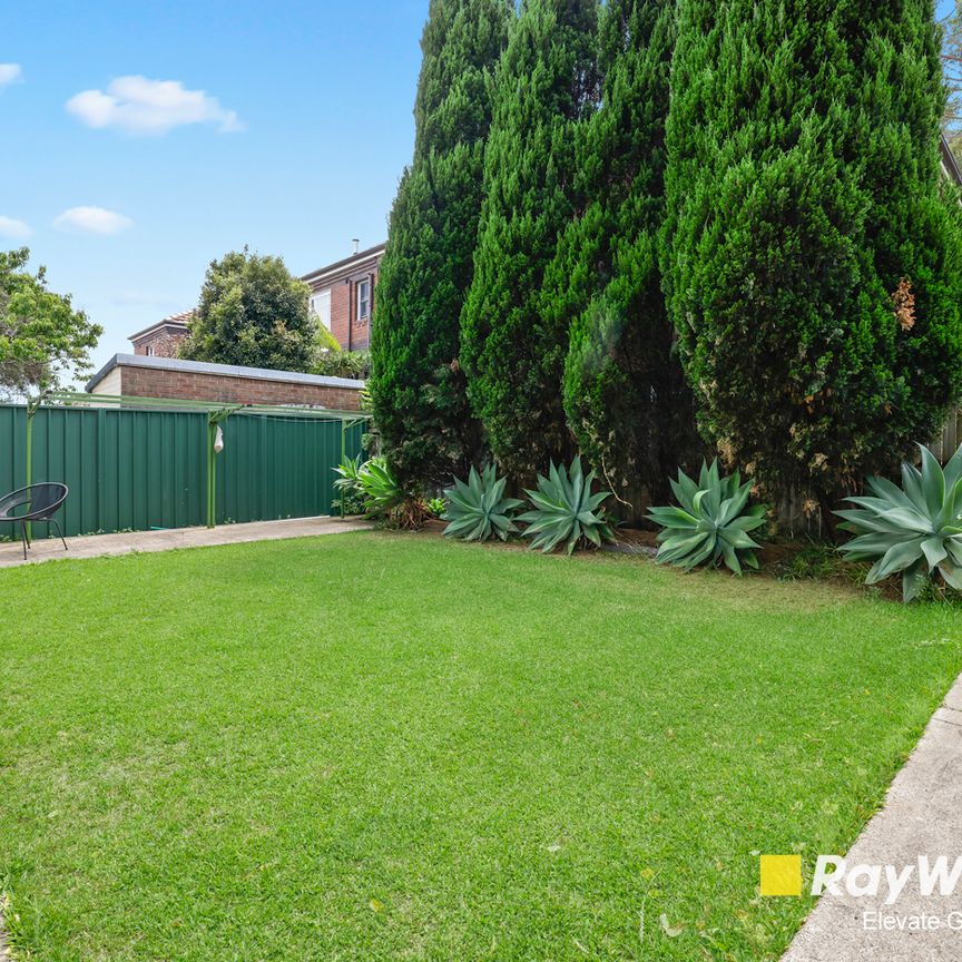 3/93 Charlotte Street, Ashfield NSW 2131 - Apartment For Rent | Domain - Photo 1