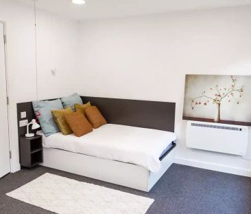 Large Premium Studio Accessible - Photo 2