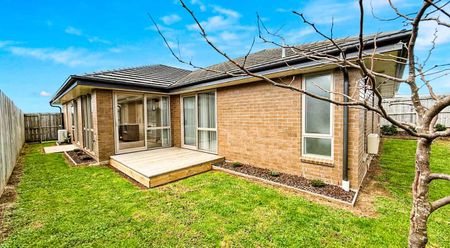 Pet Friendly! - Photo 4