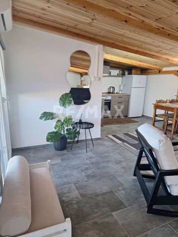 Studio/Γκαρσονιέρα για ενοικίαση Κομοτηνή - Photo 4