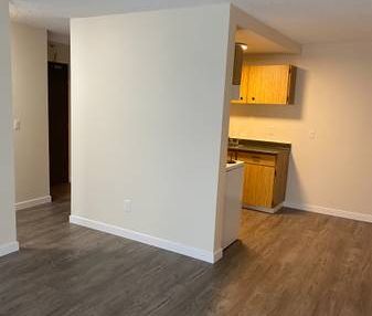 Central Mount Pleasant 1 Bdrm Apt with Storage - Photo 4