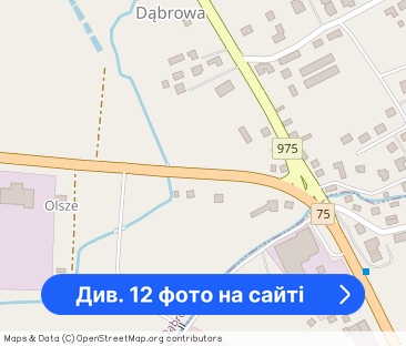 Dom z garażem w Dąbrowie - Фото 1