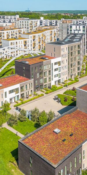 Lyse og lækre lejeboliger med udsigt i Broloftet - Photo 1