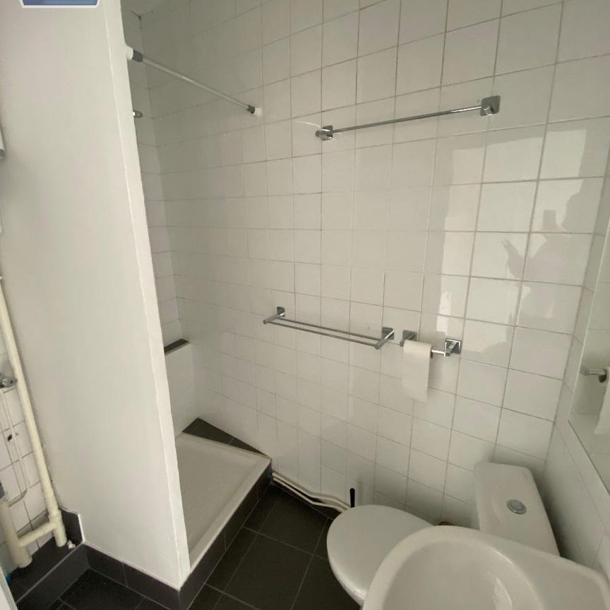 Location Appartement 1 pièce 22m² FLEURIEU SUR SAONE 69250 - Photo 1