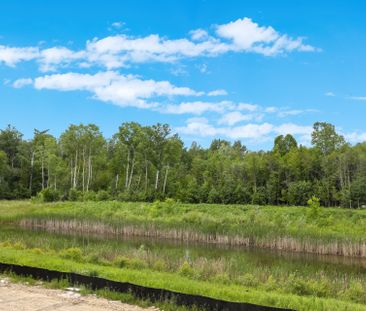 For Lease - 148 Hawkins Street, Georgina, Ontario - Photo 5