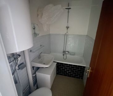 Location Appartement 1 pièce 29m² VANDOEUVRE LES NANCY 54500 - Photo 2