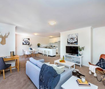 Two Bedroom Apartment in Great Area! - Photo 2