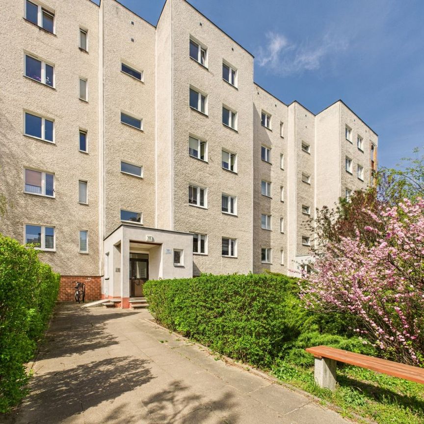 *Panoramiczne okno z tarasem - widok na las* - Фото 1