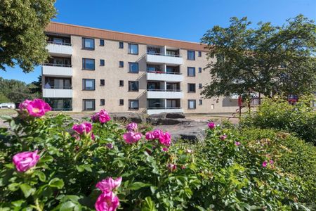 Vilbergsgatan 69 - Photo 4