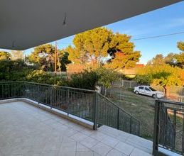 Μονοκατοικία για ενοικίαση - Ωρωπός, - Photo 1