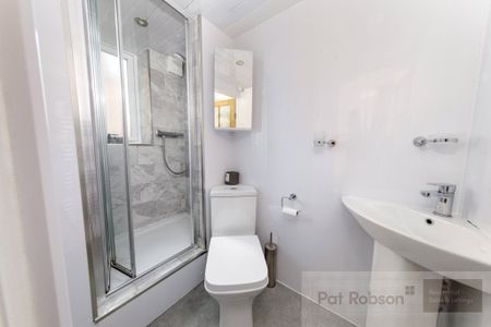 Beaumont Terrace, Newcastle Upon Tyne - Photo 5