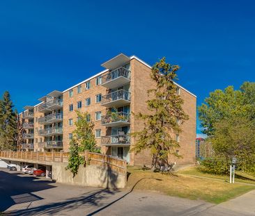 505 56 Avenue SW, Calgary - Photo 5