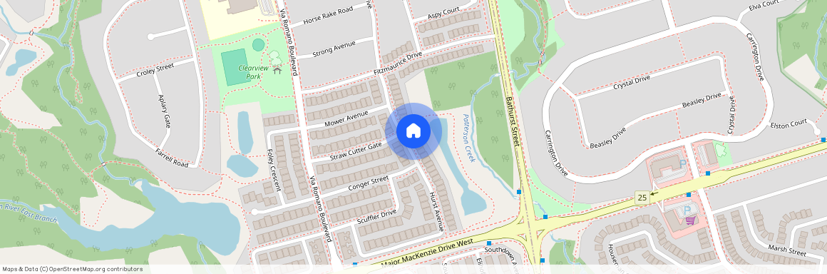 45 Hurst Avenue #Lower, Vaughan, Patterson