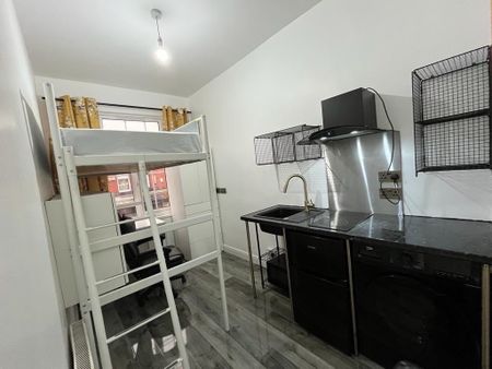 Studio Flat, Victoria Park, M14 - Photo 4