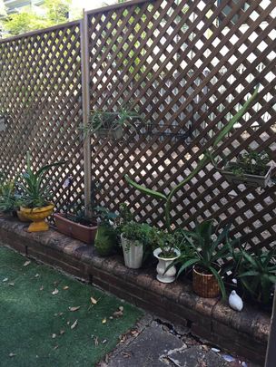 Bowen Hills - Photo 1