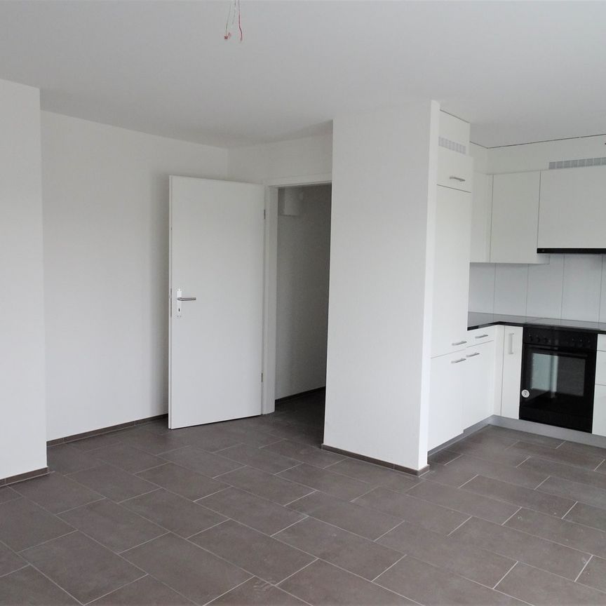Rent a 2 ½ rooms apartment in Schlieren - Foto 1