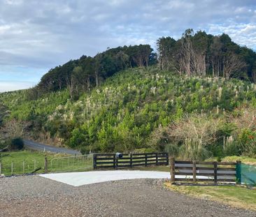 3 Bedroom, 1 Bathroom Home - Paura Bay! - Photo 4