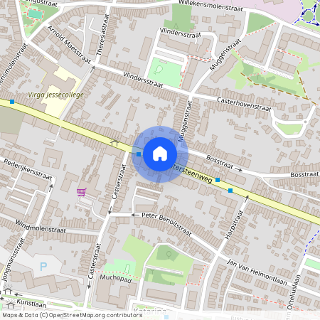 Maastrichtersteenweg, Hasselt, 3500