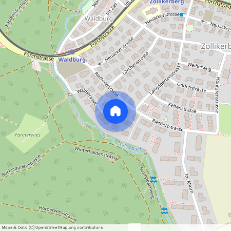 Waldstrasse 20, 8125, Zollikon, Zürich, CHE, Zollikerberg, Zurich, 8125, Suisse