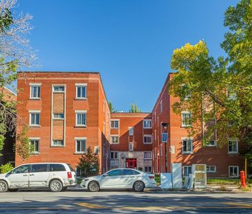 2 ½ - 7619 Christophe-Colomb, Montréal - Nord - Photo 3