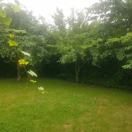 Rudeboksvägen, Lund - Foto 3