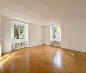 Ihre neue Wohlfühloase direkt am Zürichsee - frisch saniert! - Photo 4