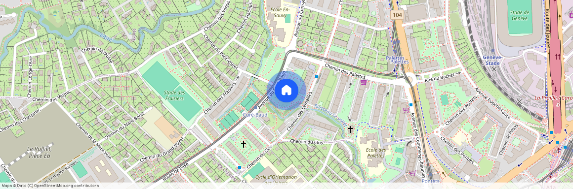 Avenue du Curé-Baud 49, 1212 Grand-Lancy