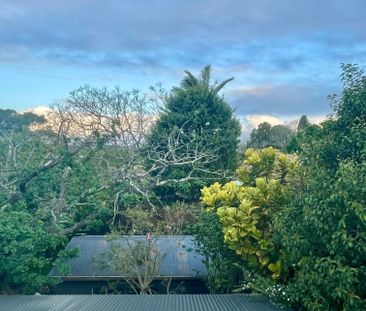 Haberfield - Photo 6