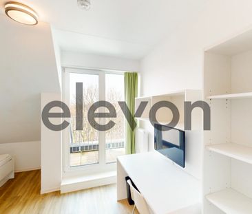 Modern möbliertes 1-Zimmer-Apartment - Photo 1