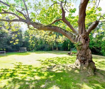 3 bedroom detached house to rent - Photo 6