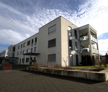 Appartement de 3.5 pièces au rez-de-chaussée à louer - Foto 1