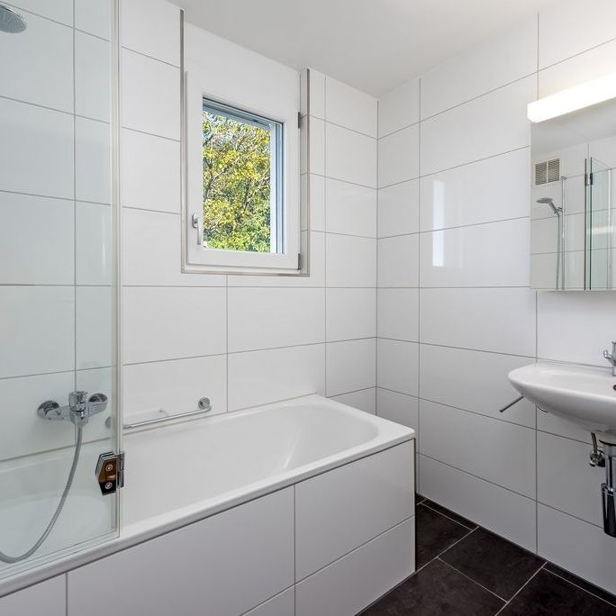 Wohn(t)raum am Zürichberg - 8044 Zürich - Foto 1