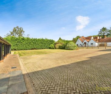 3 bedroom bungalow to rent - Photo 6