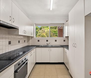 Spacious, Low-Allergenic Apartment with Easy CBD Access - Photo 6