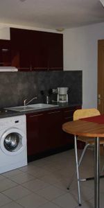 Appartement T2 près de BONNEVILLE à louer - Photo 3