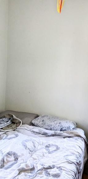 Grand 4 ½ à Sherbrooke 1050$/mois Disponible dès maintenant - Photo 1