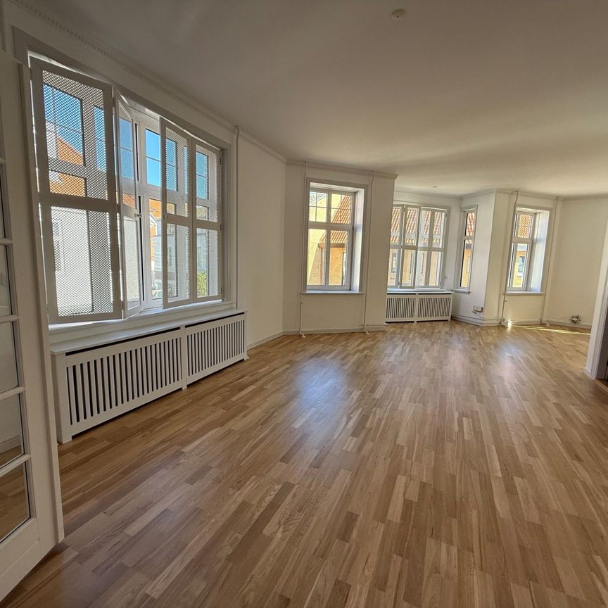 166 m² lækker lejlighed midt i gågagen med elevator og alten - Photo 1