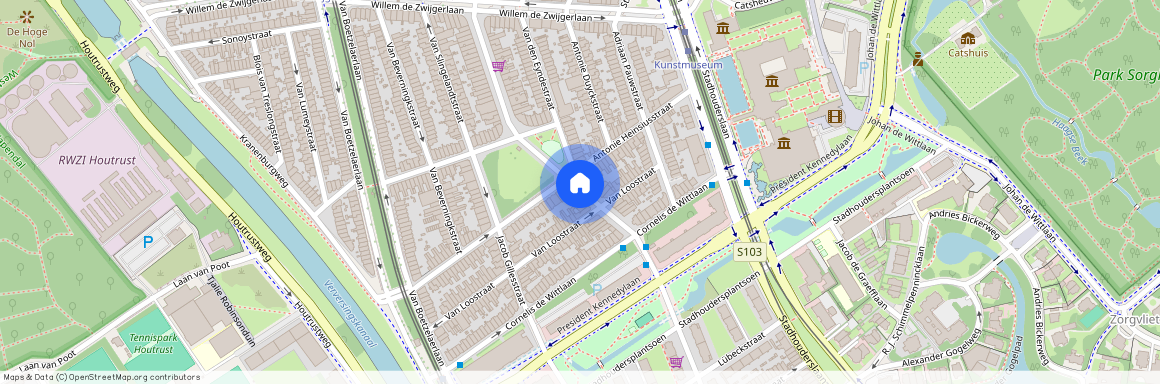 Aert van der Goesstraat 28 A, 2582 AK 's-Gravenhage