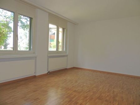LOCATION SANS ACOMPTE - Bel appartement à Pfäffikon - Photo 5