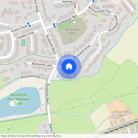 Bucklands Grove, Nailsea, North Somerset, BS48