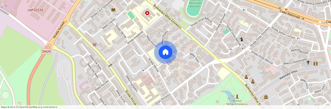 Aleea Pinului, Primaverii, Botosani