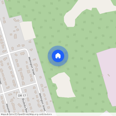 435 Beechwood Forest Lane, Gravenhurst