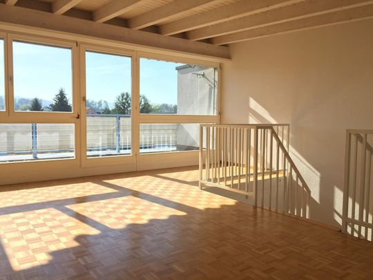 Beautiful duplex apartment with balcony - Photo 1