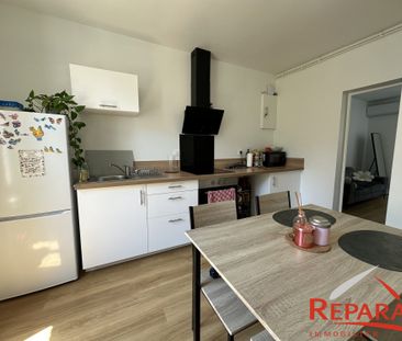 Location Appartement 2 pièces 34m² BRIVE LA GAILLARDE 19100 - Photo 4