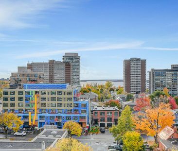 For Lease - 399 Winston Avenue Unit# 407, Carlingwood - Westboro an... - Photo 3