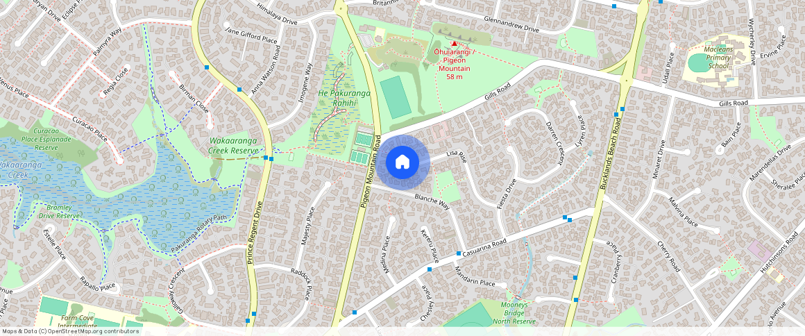 ** Lisa Rise, Manukau City, Half Moon Bay