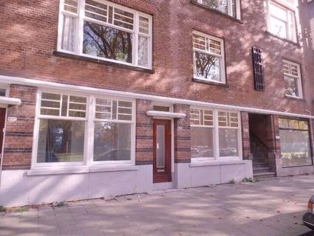 Statenweg, Rotterdam, Nederland - Foto 4