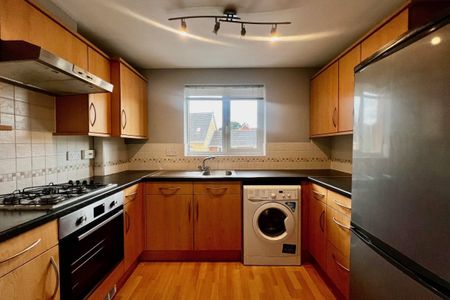 Stag Drive - Photo 2